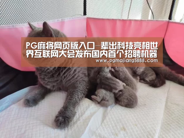 PG麻将APP下载