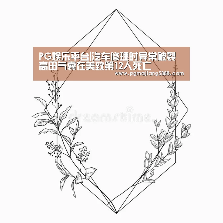PG娱乐平台|汽车修理时异常破裂 高田气囊在美致第12人死亡(图2) PG麻将APP下载