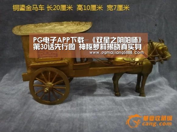 PG麻将网页版入口