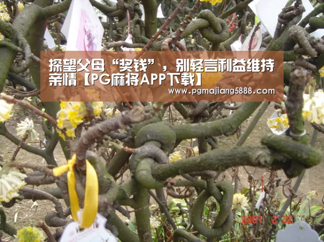 探望父母“奖钱”,别轻言利益维持亲情【PG麻将APP下载】(图2) PG麻将APP下载