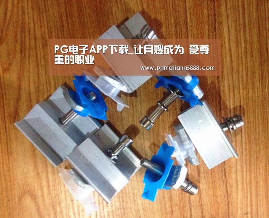 PG电子APP下载_让月嫂成为 受尊重的职业(图1) PG麻将APP下载