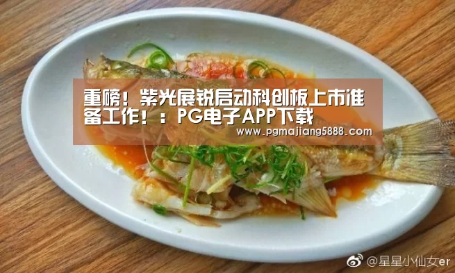 重磅!紫光展锐启动科创板上市准备工作!:PG电子APP下载(图1) PG麻将网页版入口
