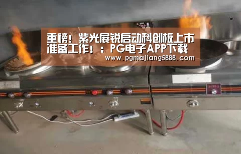 重磅!紫光展锐启动科创板上市准备工作!:PG电子APP下载(图3) PG麻将APP下载