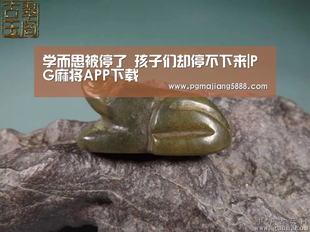 学而思被停了 孩子们却停不下来|PG麻将APP下载(图1) PG麻将网页版入口