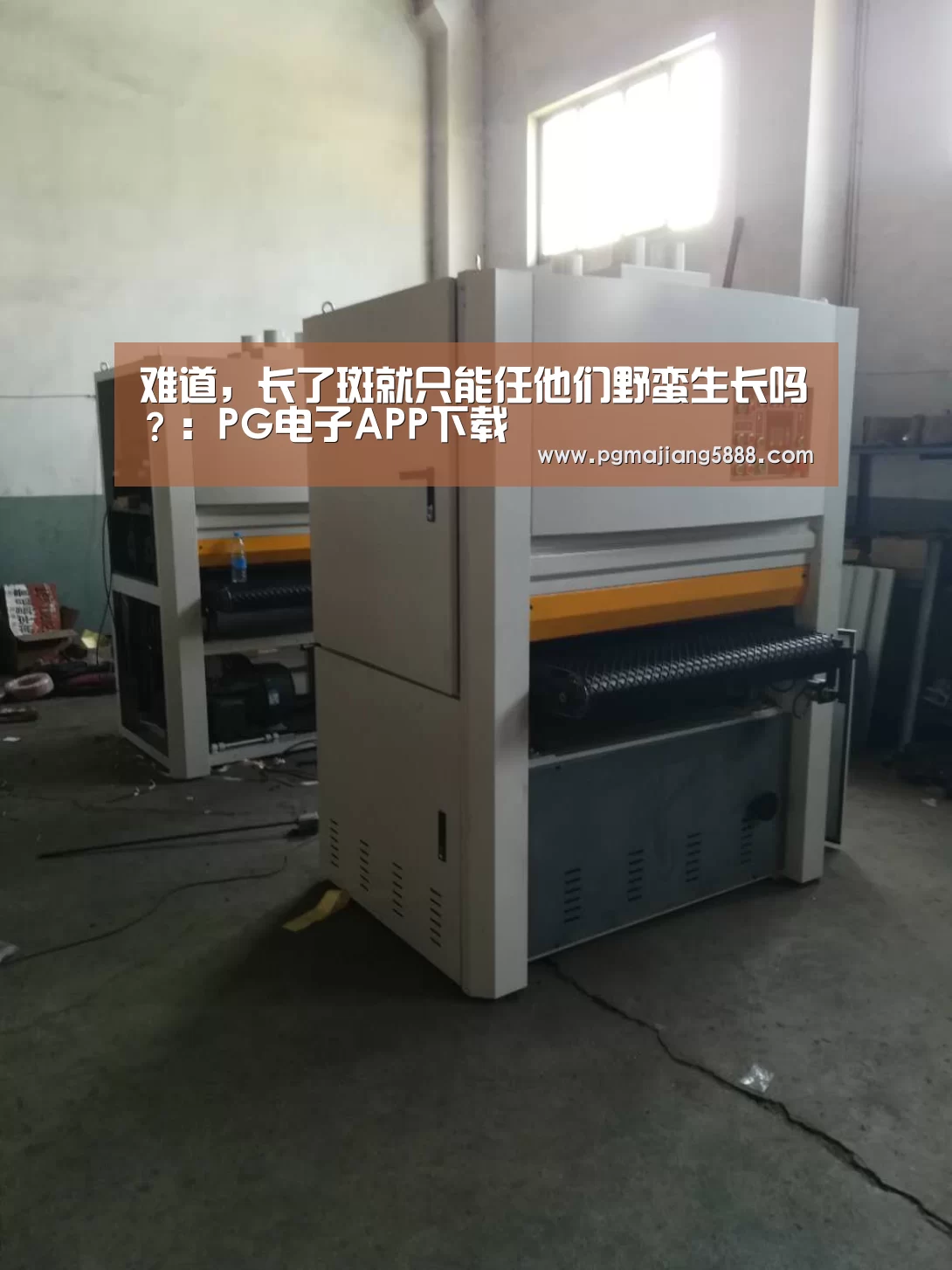 难道,长了斑就只能任他们野蛮生长吗?:PG电子APP下载(图2) PG电子APP下载